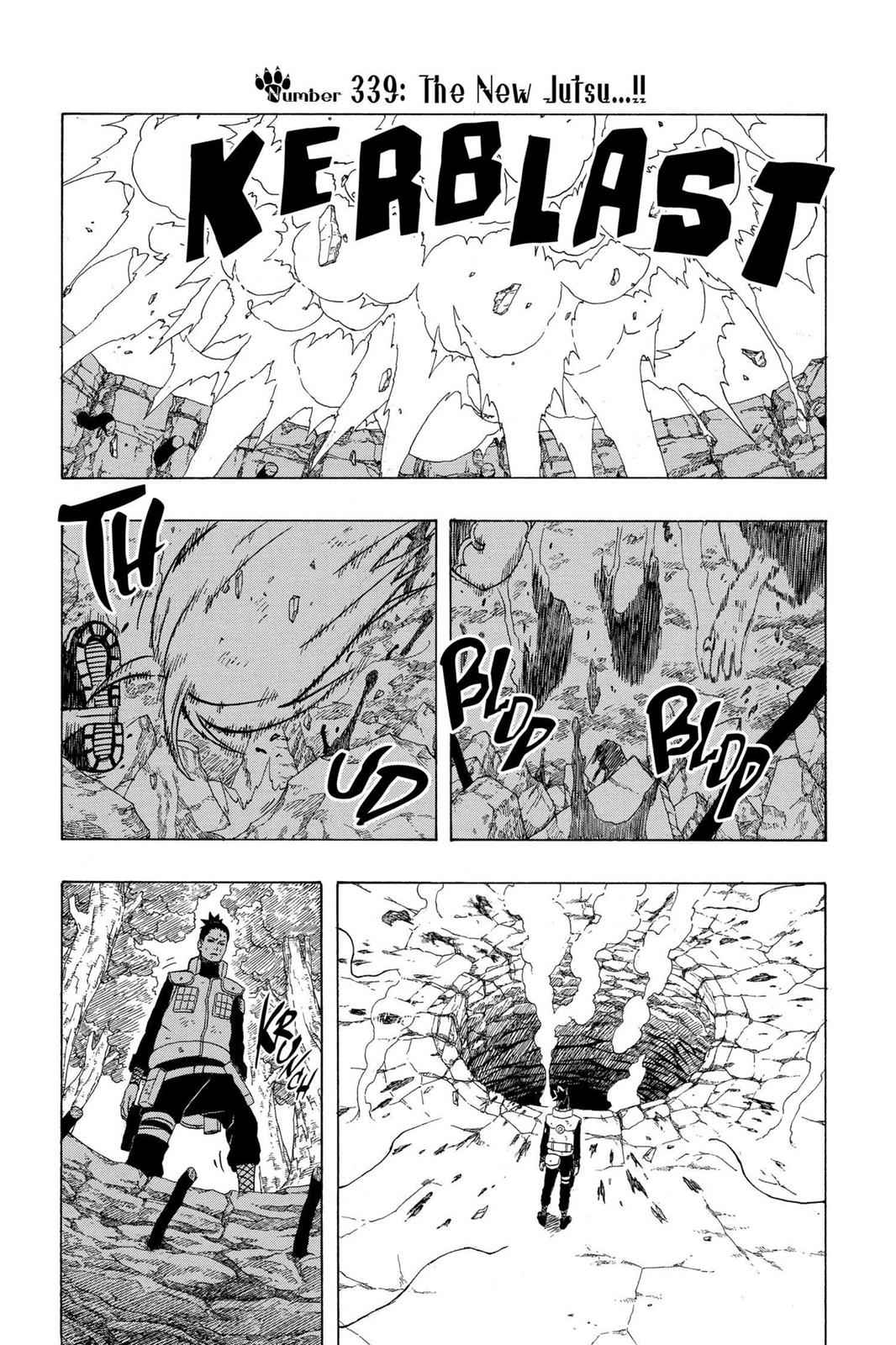 chapter339